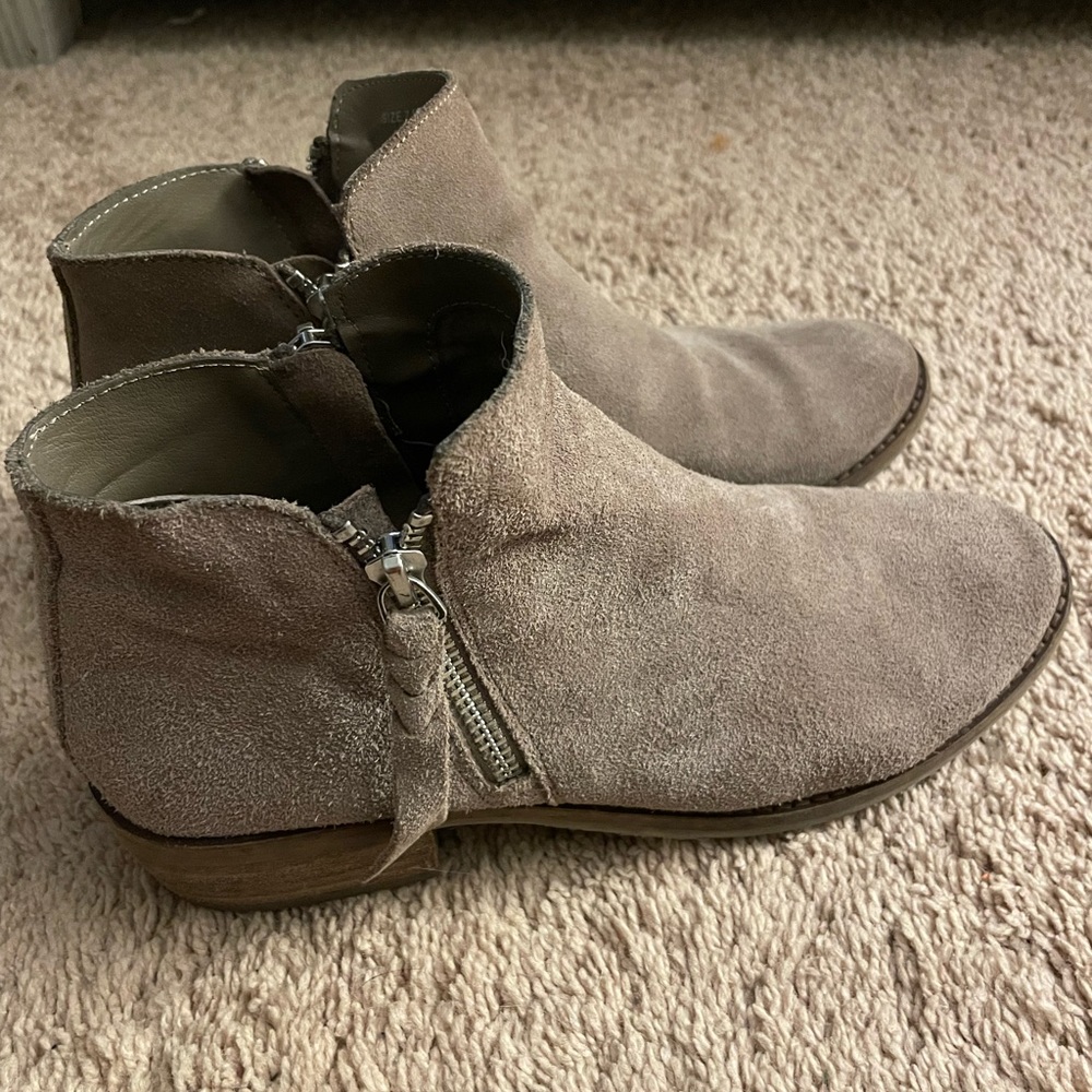 Dolce Vita suede booties